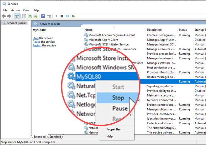 Reset Root Password in on Windows | Webucator
